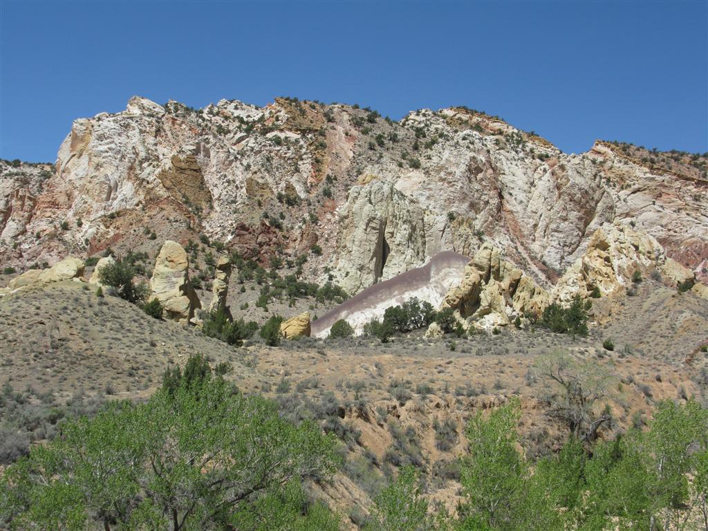 IMG_0204 (Large).JPG