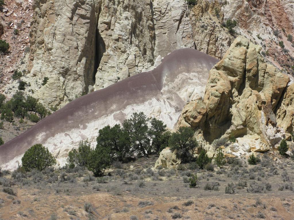 IMG_0205 (Large).JPG