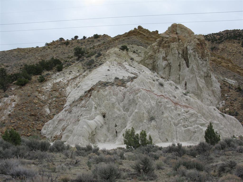 IMG_0206 (Large).JPG