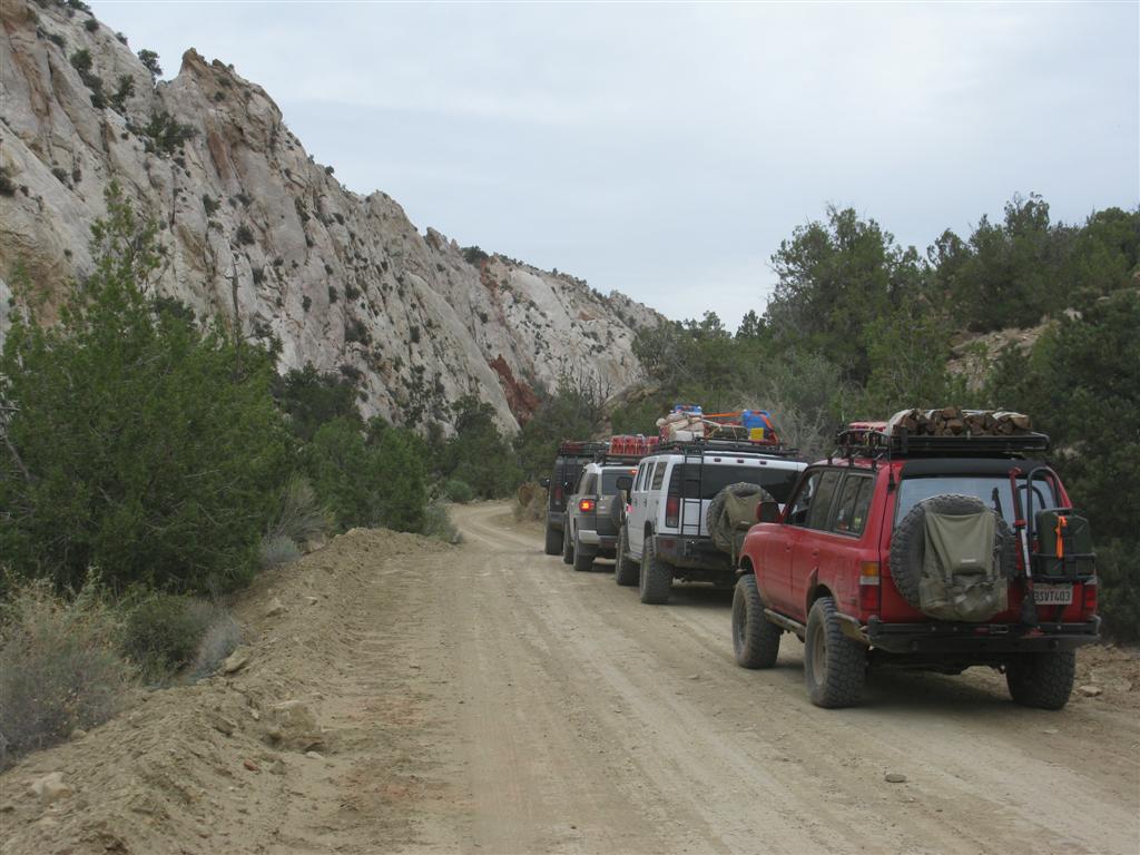 IMG_0223 (Large).JPG