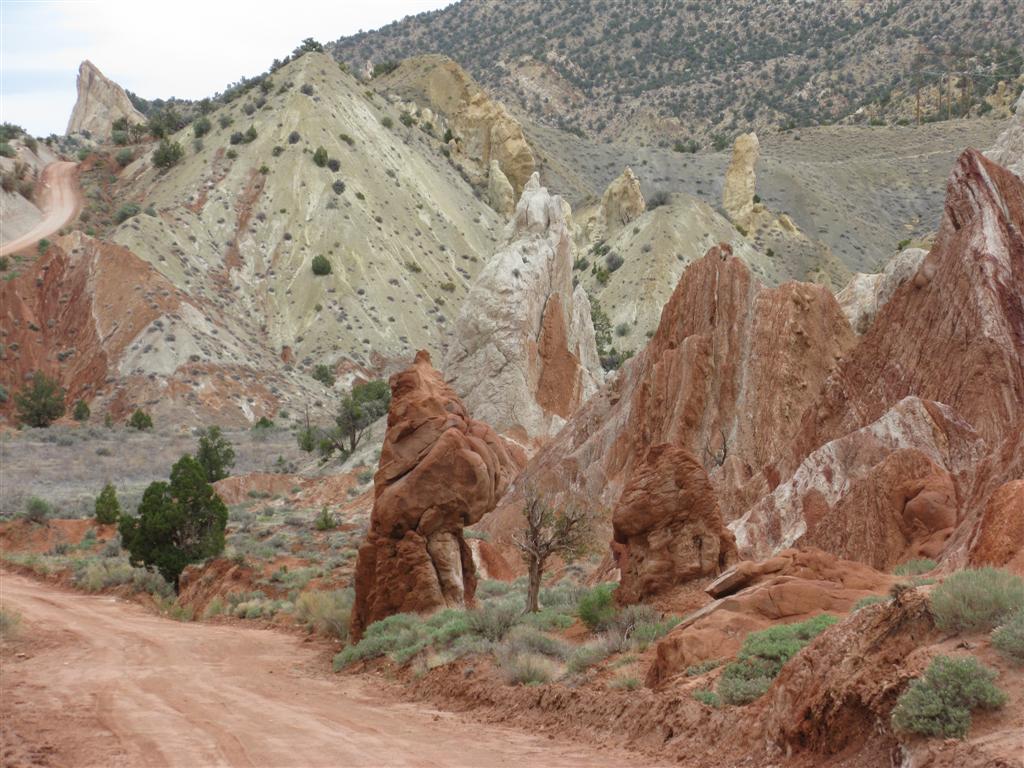 IMG_0234 (Large).JPG