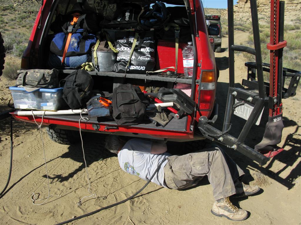 IMG_0187 (Large).JPG