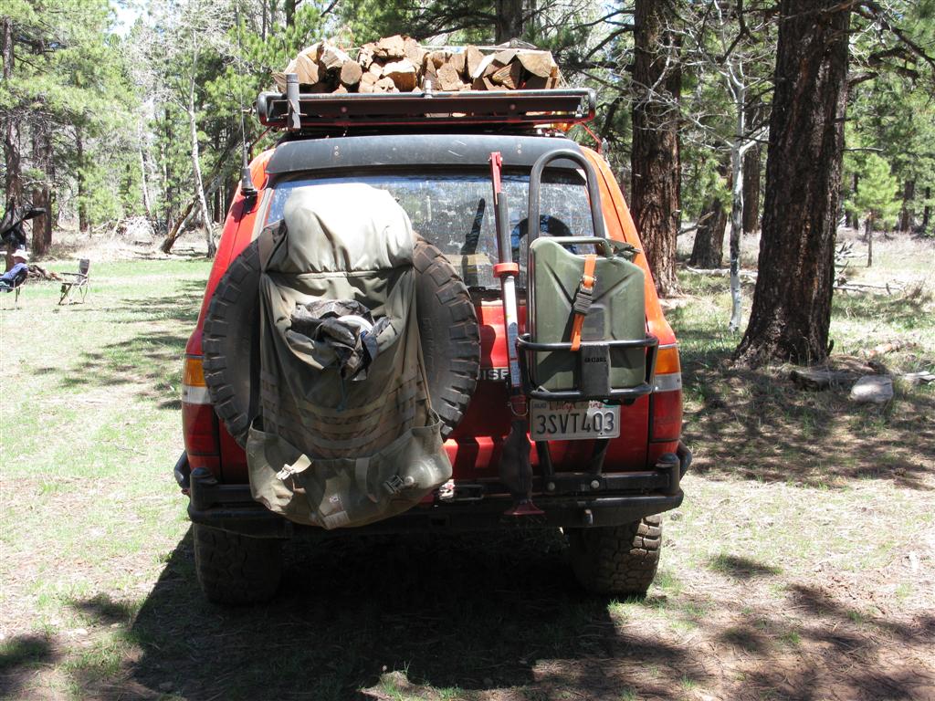 IMG_0450 (Large).JPG