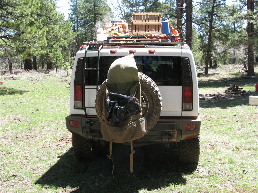 IMG_0452 (Large).JPG