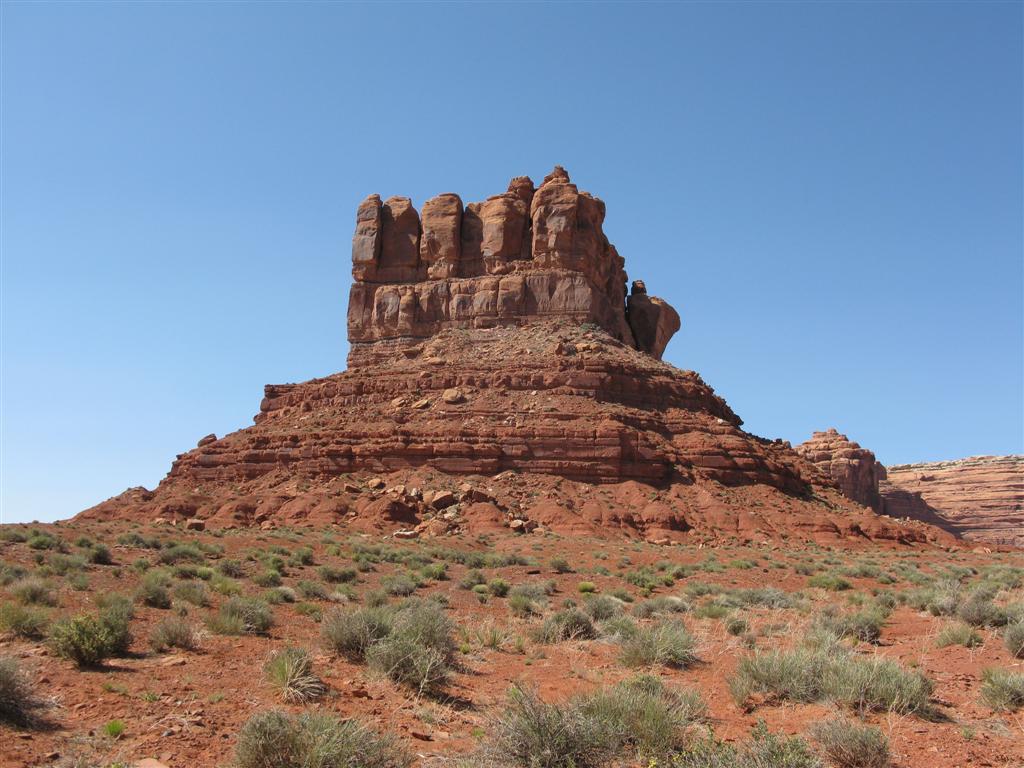 IMG_0367 (Large).JPG