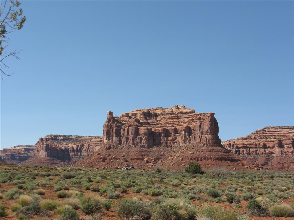 IMG_0376 (Large).JPG