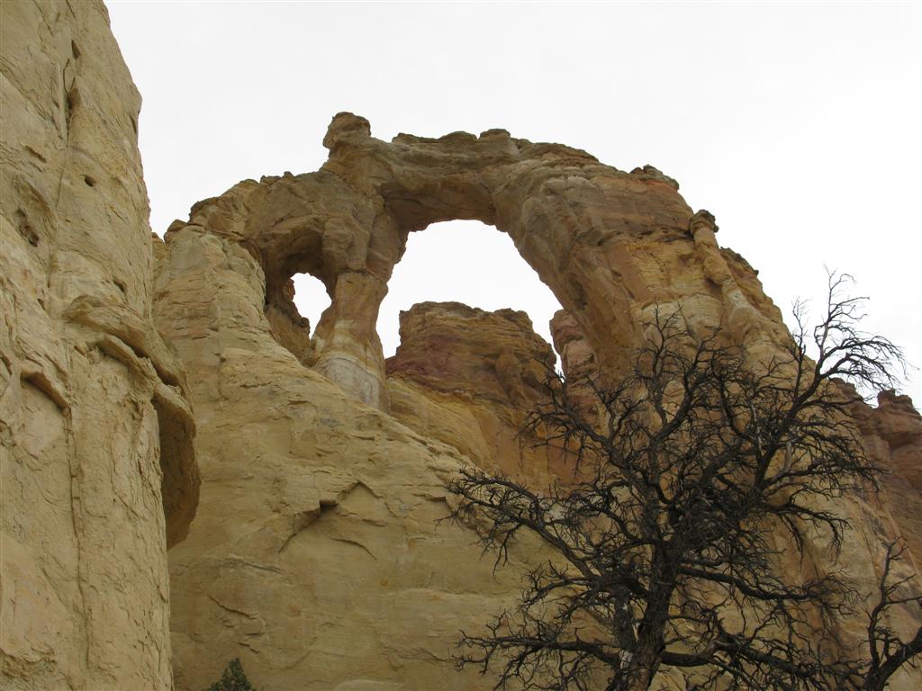 IMG_0267 (Large).JPG