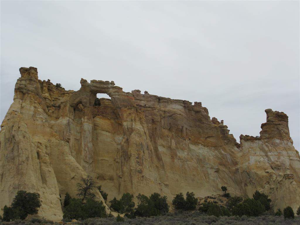 IMG_0250 (Large).JPG