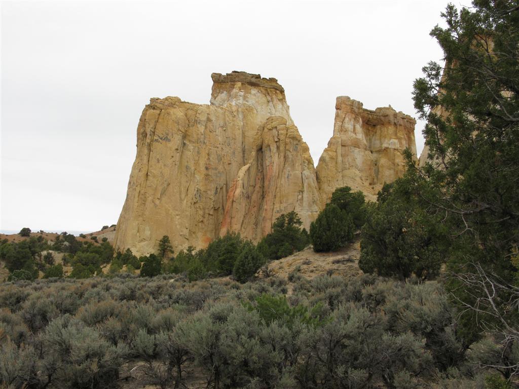 IMG_0265 (Large).JPG