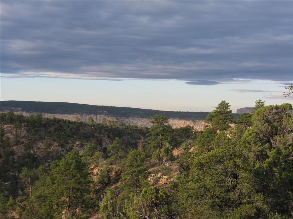 IMG_0272 (Large).JPG