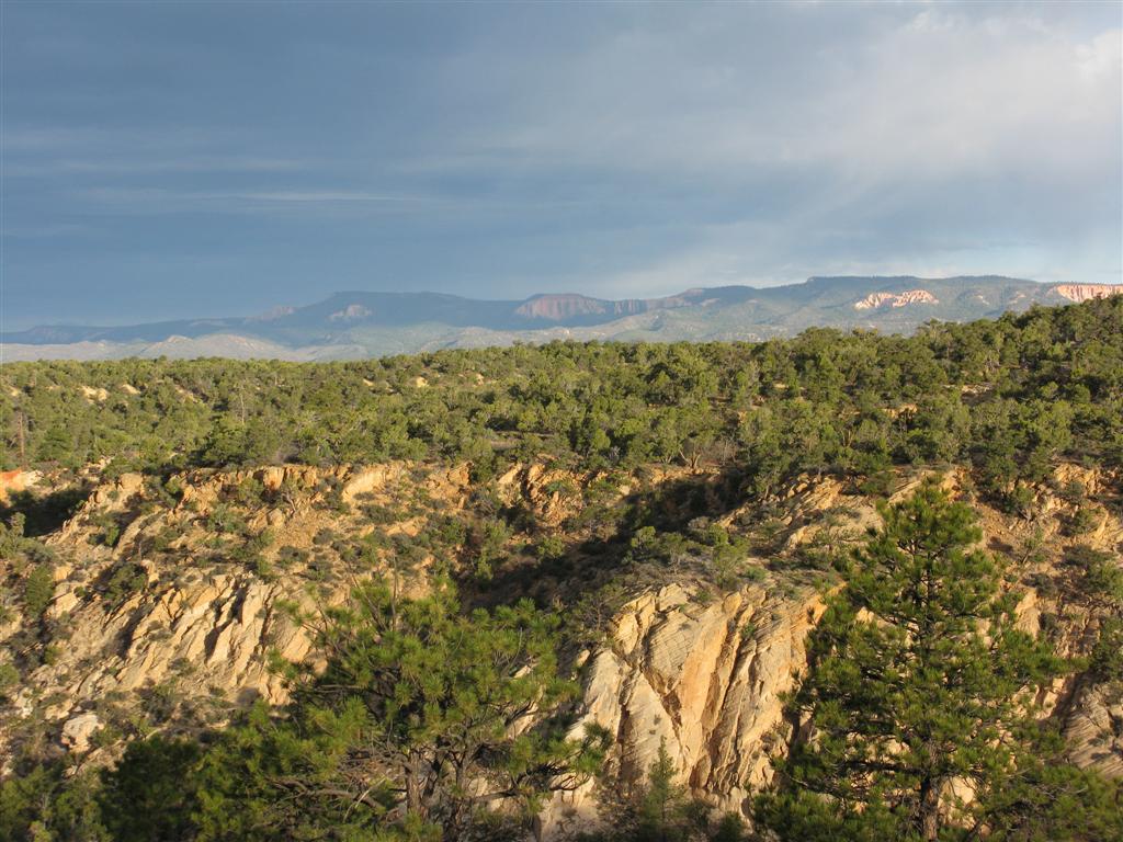 IMG_0276 (Large).JPG