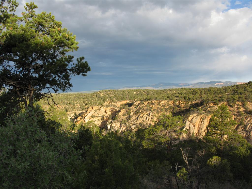 IMG_0277 (Large).JPG