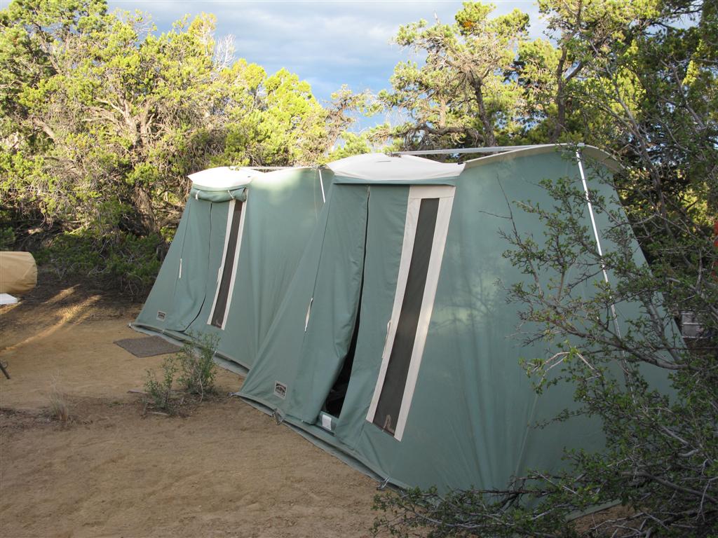 IMG_0281 (Large).JPG