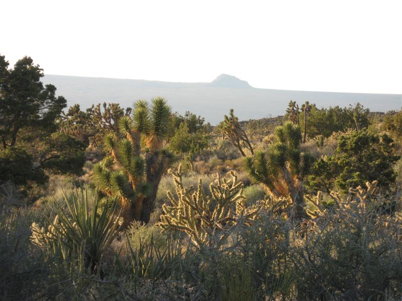 Photo 003 (Medium).jpg