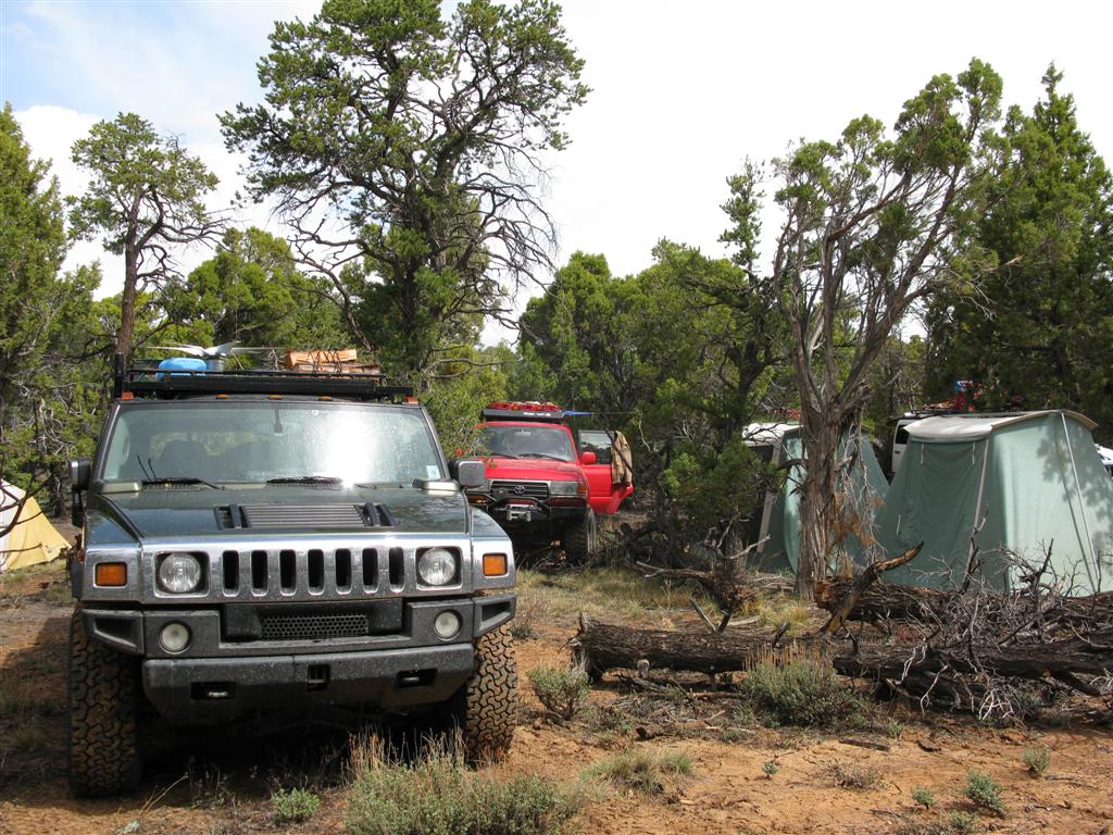 IMG_0283 (Large).JPG