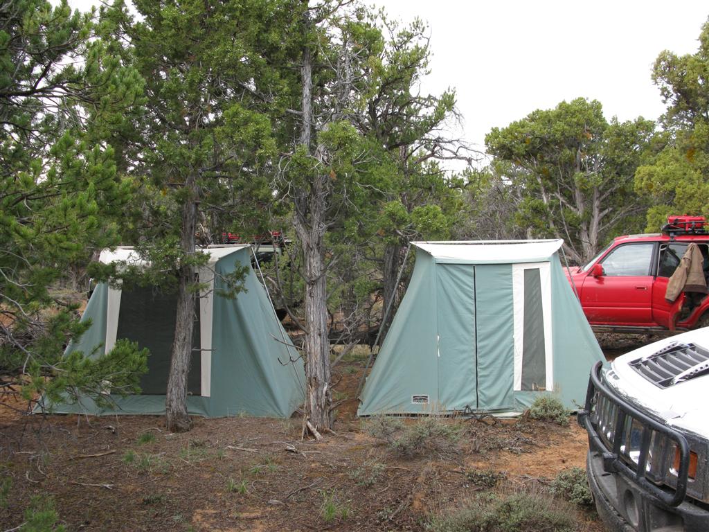 IMG_0287 (Large).JPG