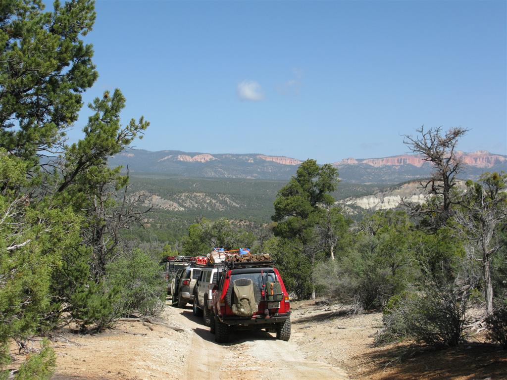 IMG_0290 (Large).JPG