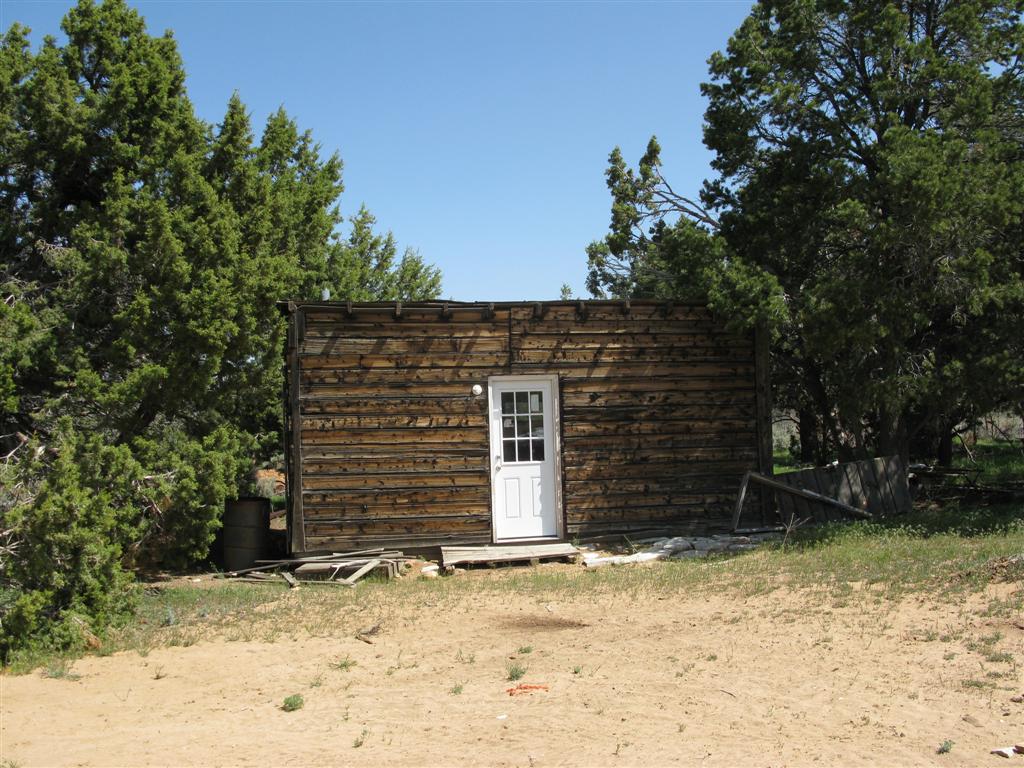 IMG_0293 (Large).JPG