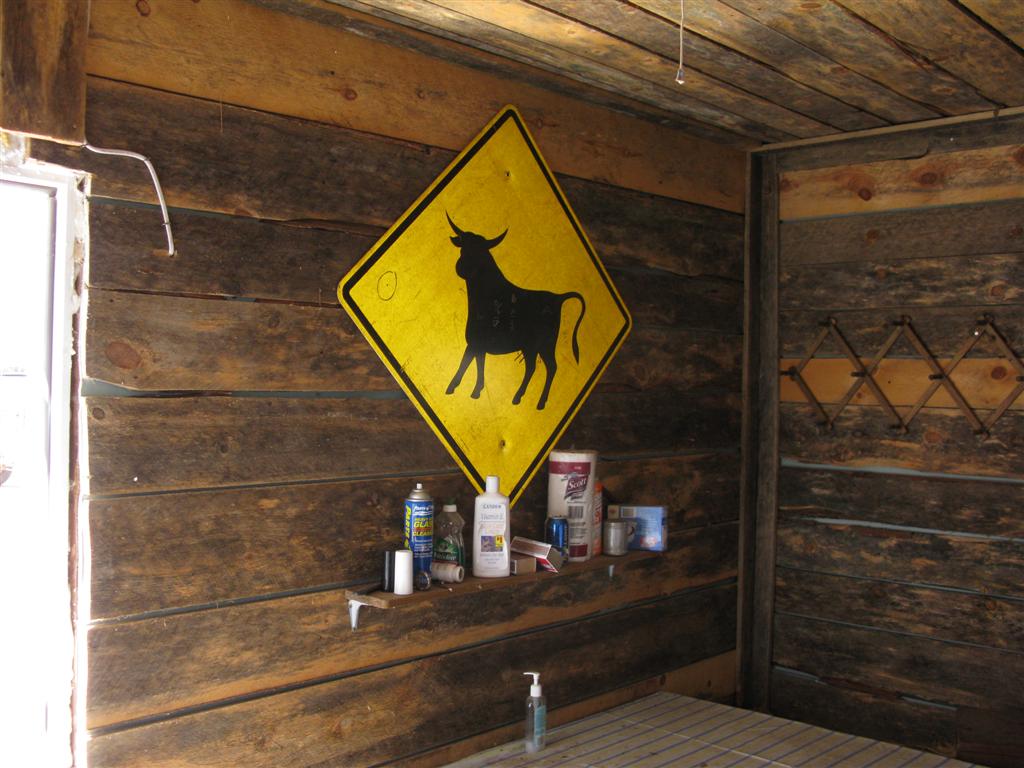 IMG_0298 (Large).JPG