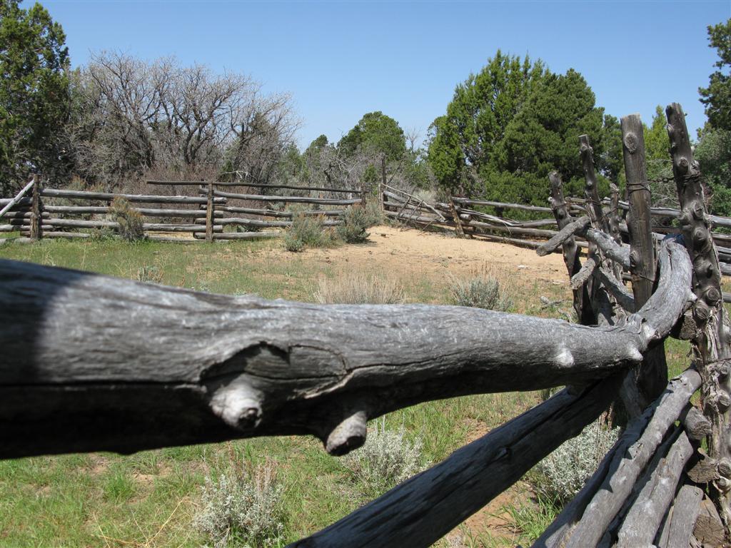 IMG_0302 (Large).JPG