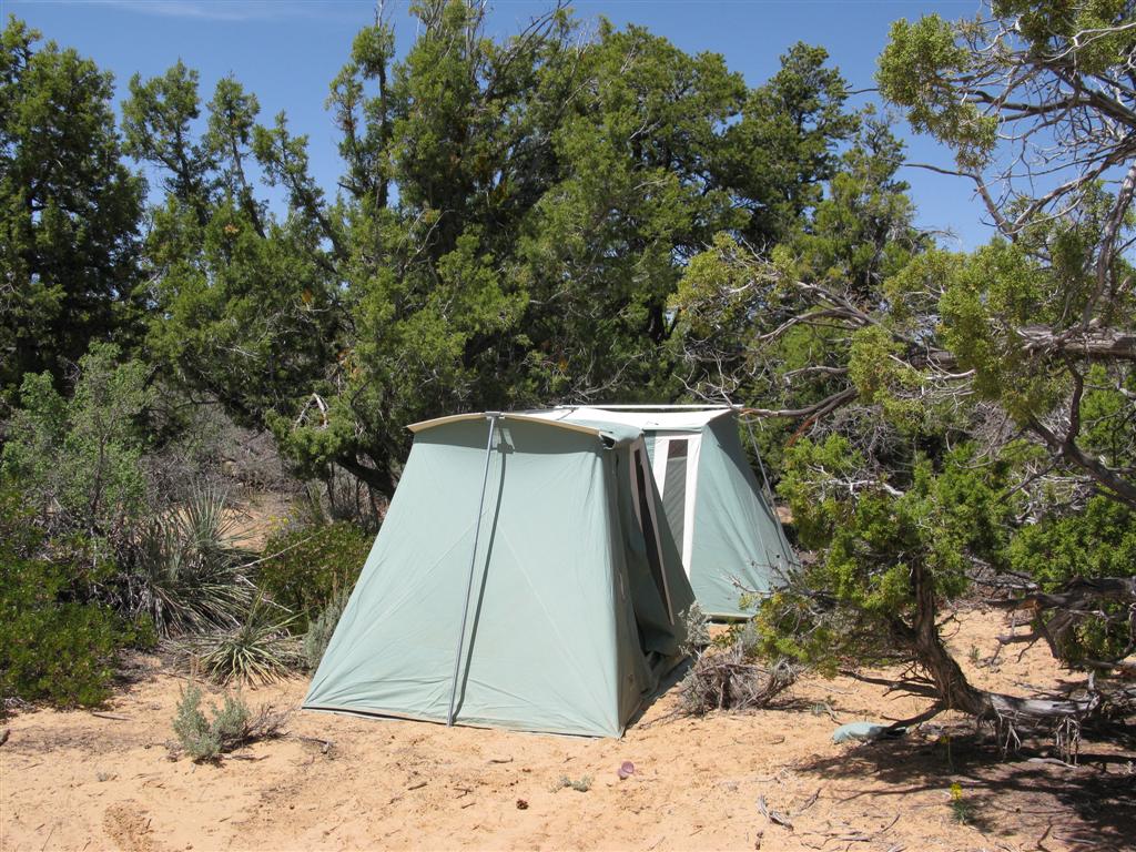 IMG_0318 (Large).JPG