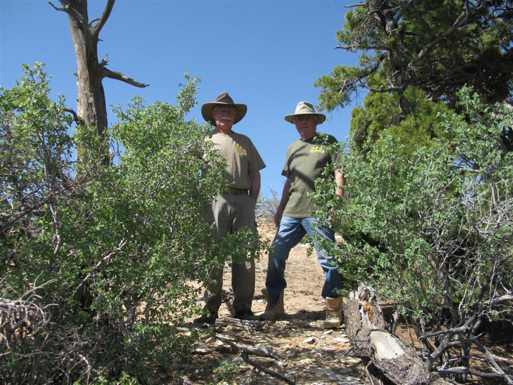 IMG_0328 (Large).JPG