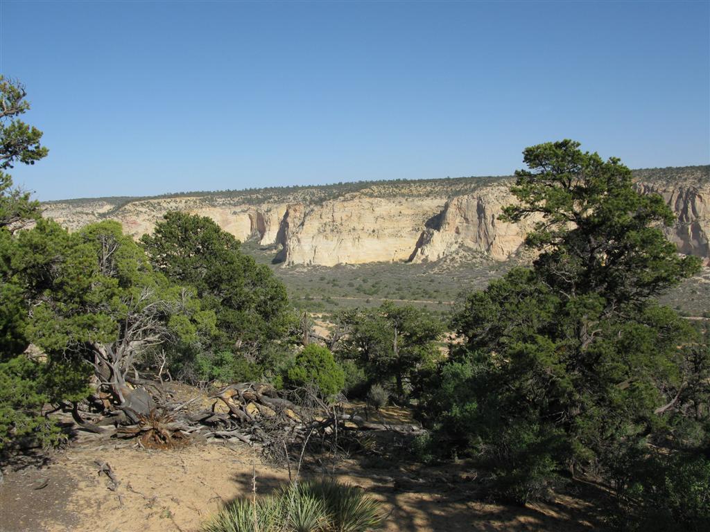 IMG_0341 (Large).JPG