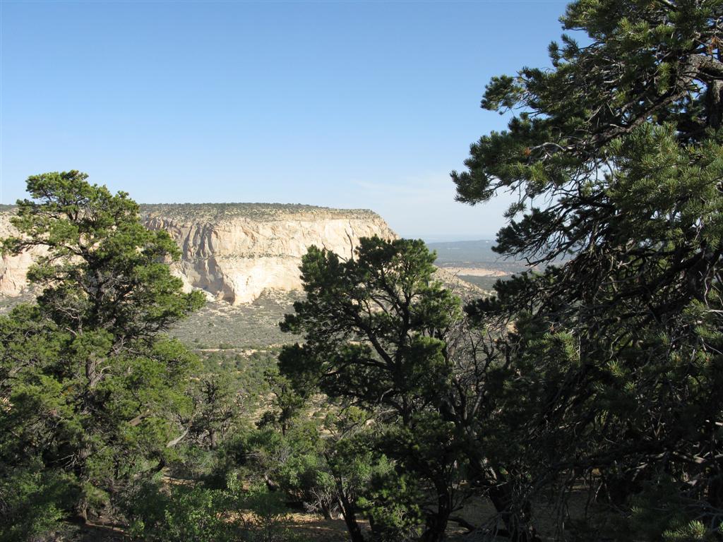 IMG_0342 (Large).JPG