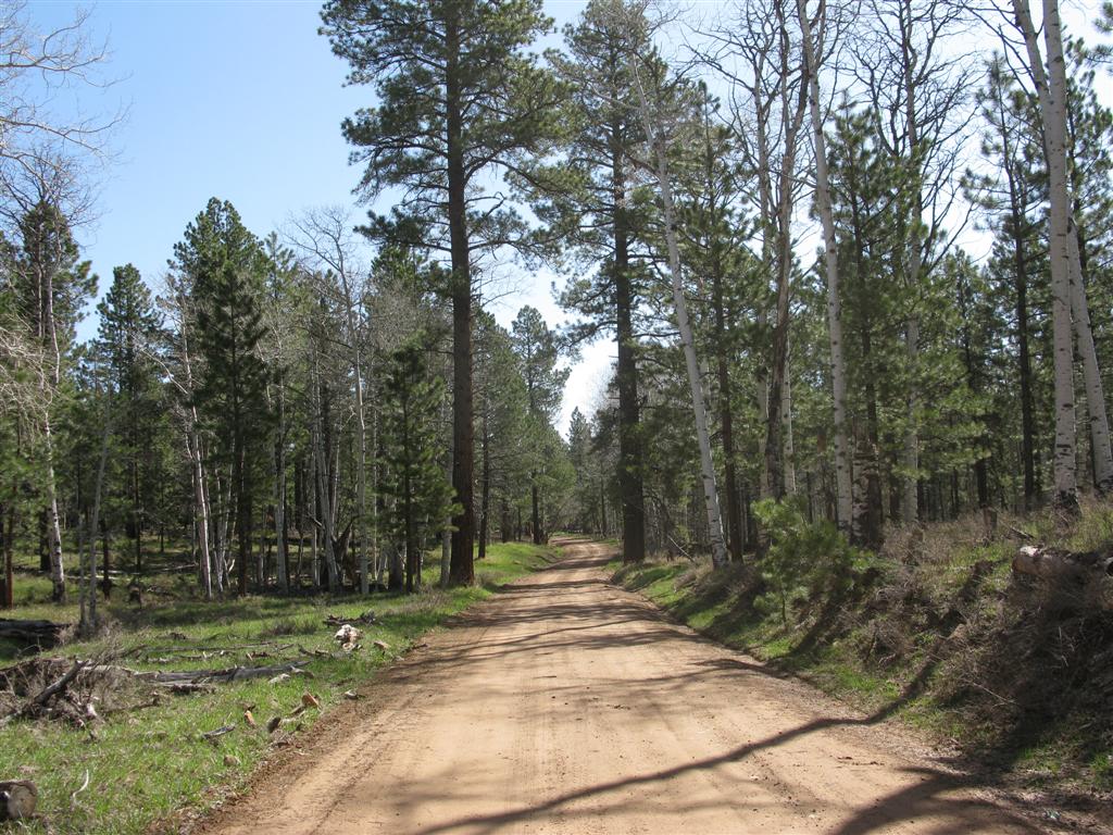 IMG_0461 (Large).JPG