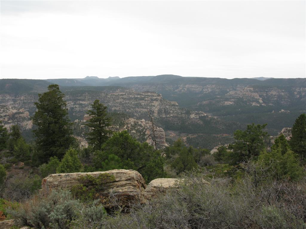 IMG_0467 (Large).JPG