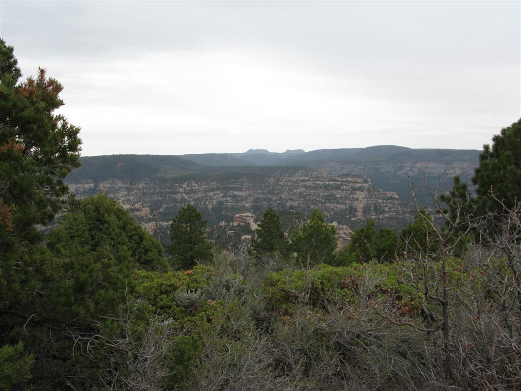 IMG_0470 (Large).JPG