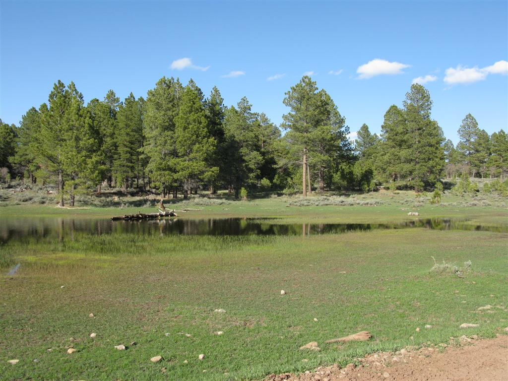 IMG_0389 (Large).JPG