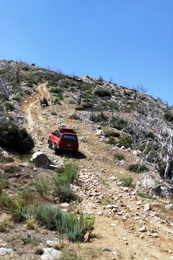 IMG_0718m.jpg