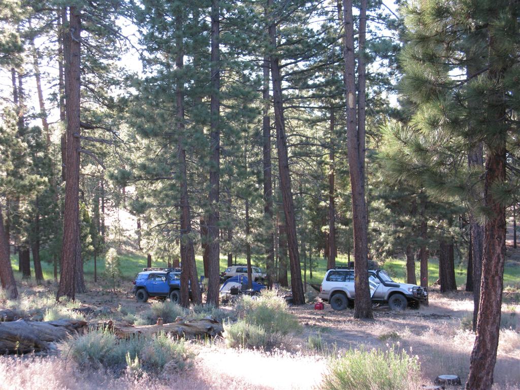 IMG_0573 (Large).JPG