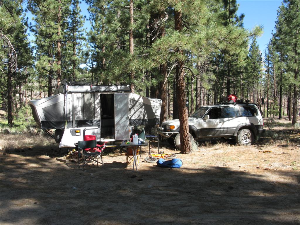 IMG_0565 (Large).JPG