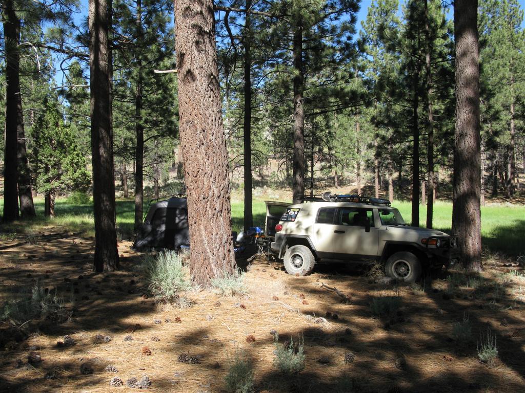 IMG_0568 (Large).JPG