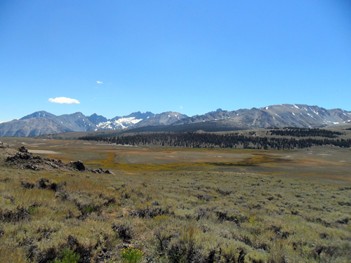 Sanger meadows