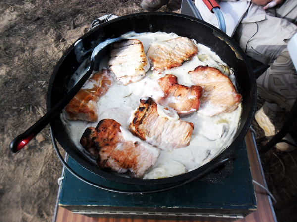 Pork Chops N' Potatoes in Sauce