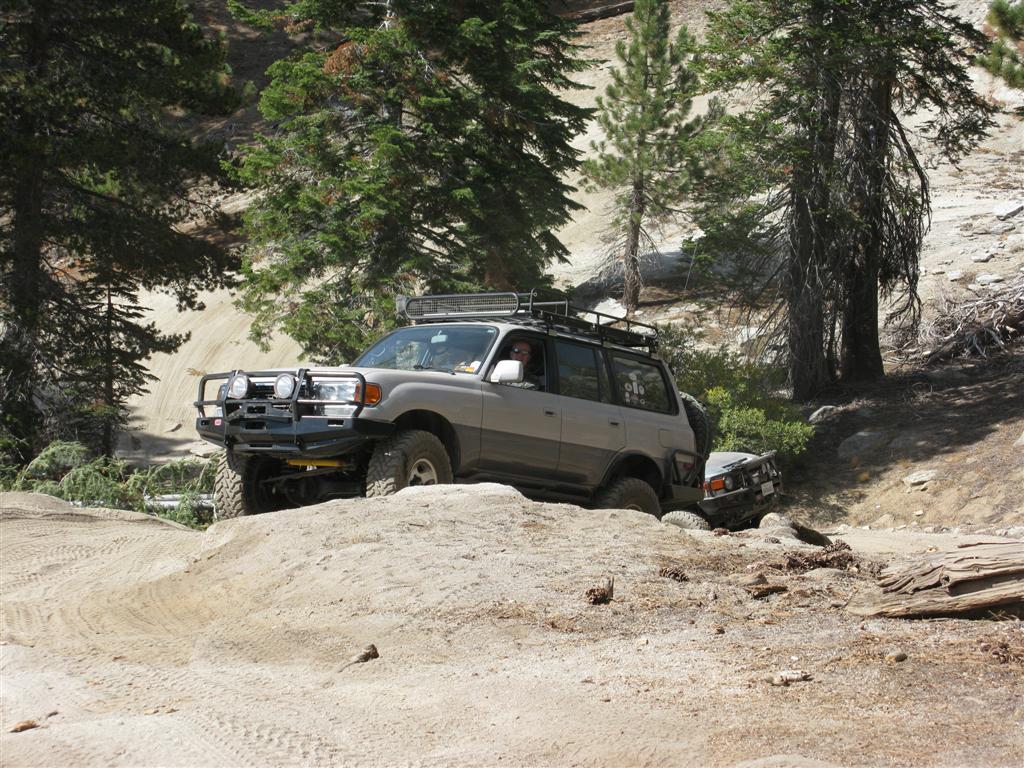 IMG_0729 (Large).JPG