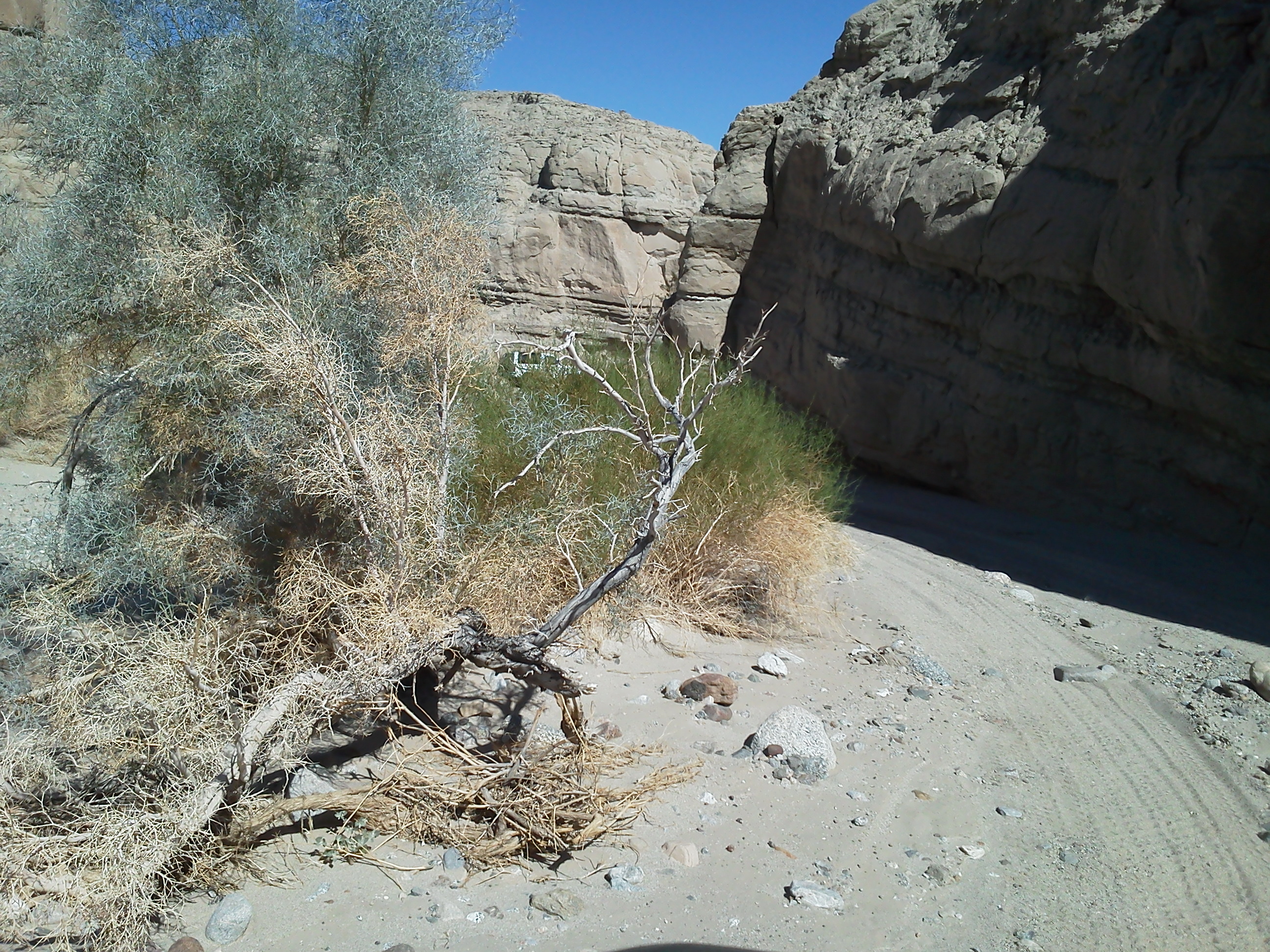 The place where we stopped while someone in the group changed a blown tire