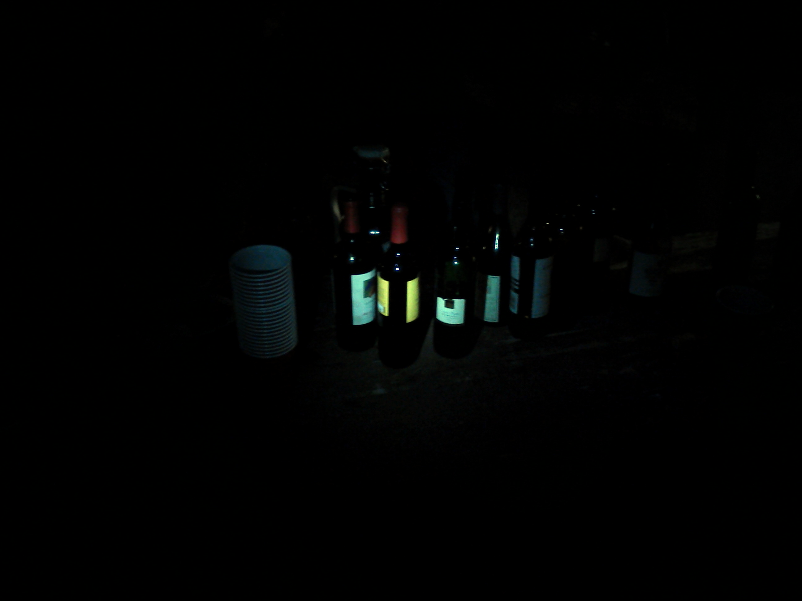 Potluck Wine selection-Again, sorry for the bad lighting