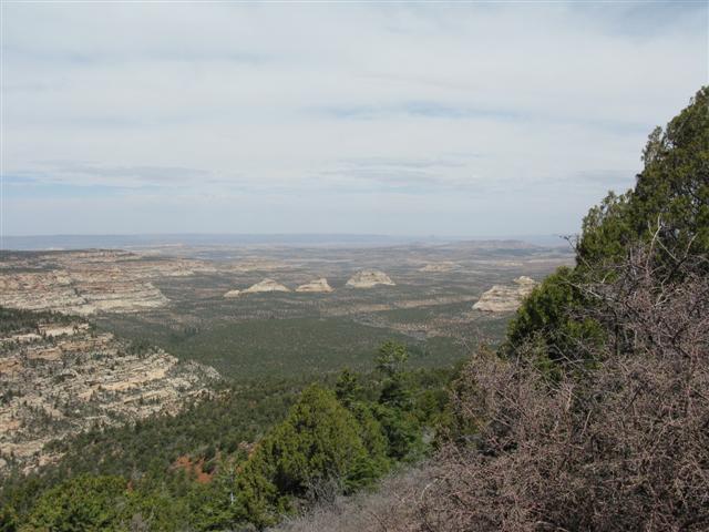 Beef Basin