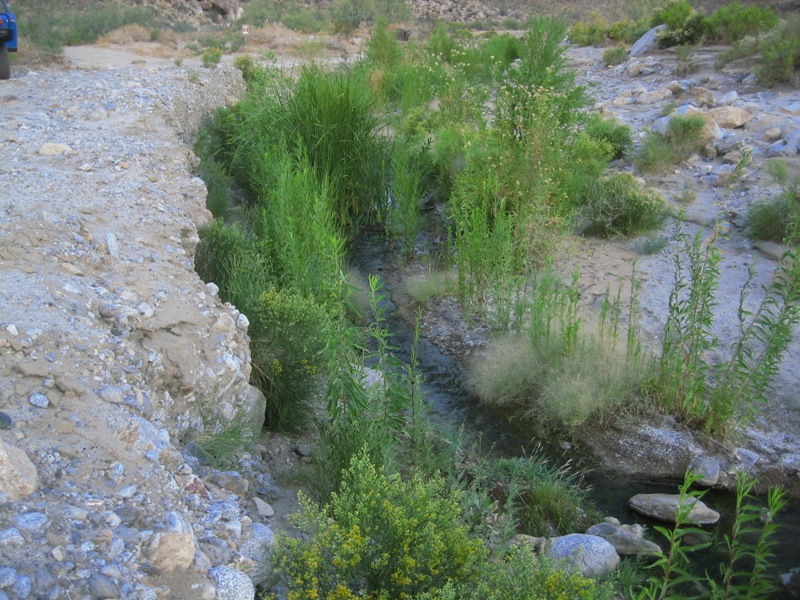IMG_5180.JPG