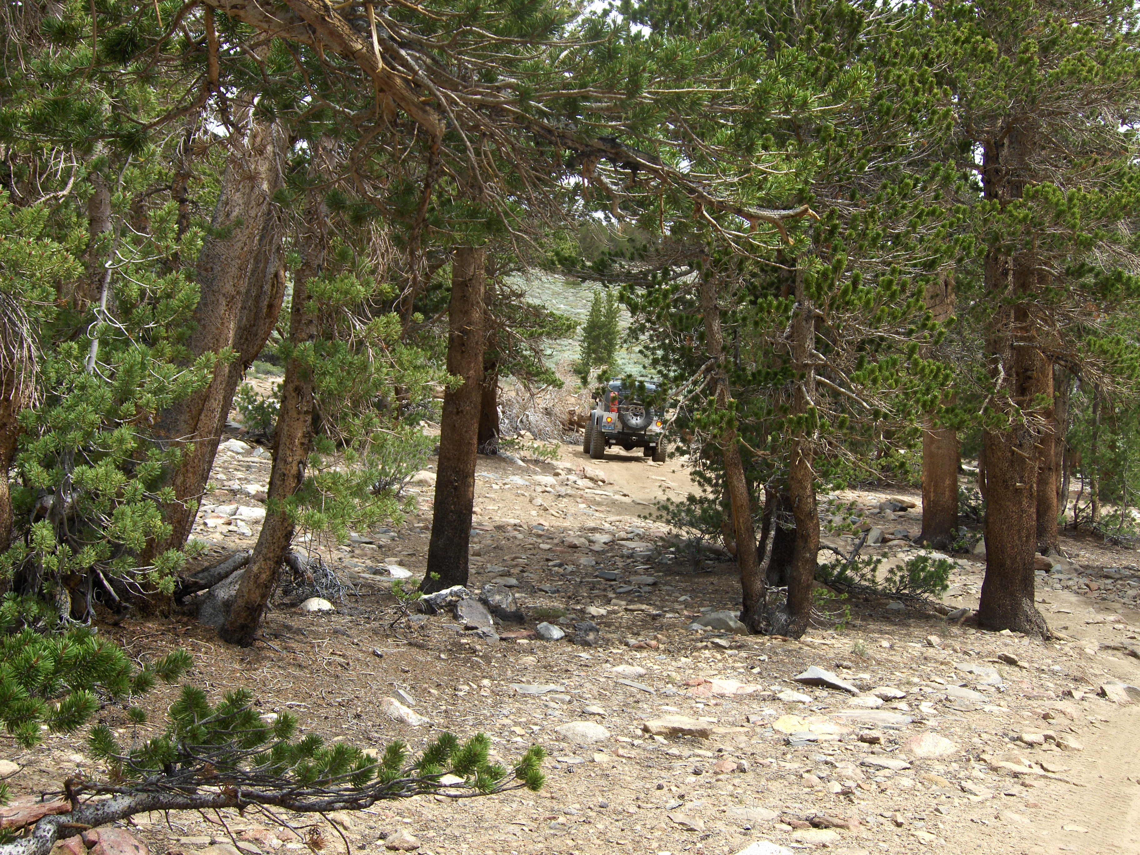 Trail In and Out.JPG