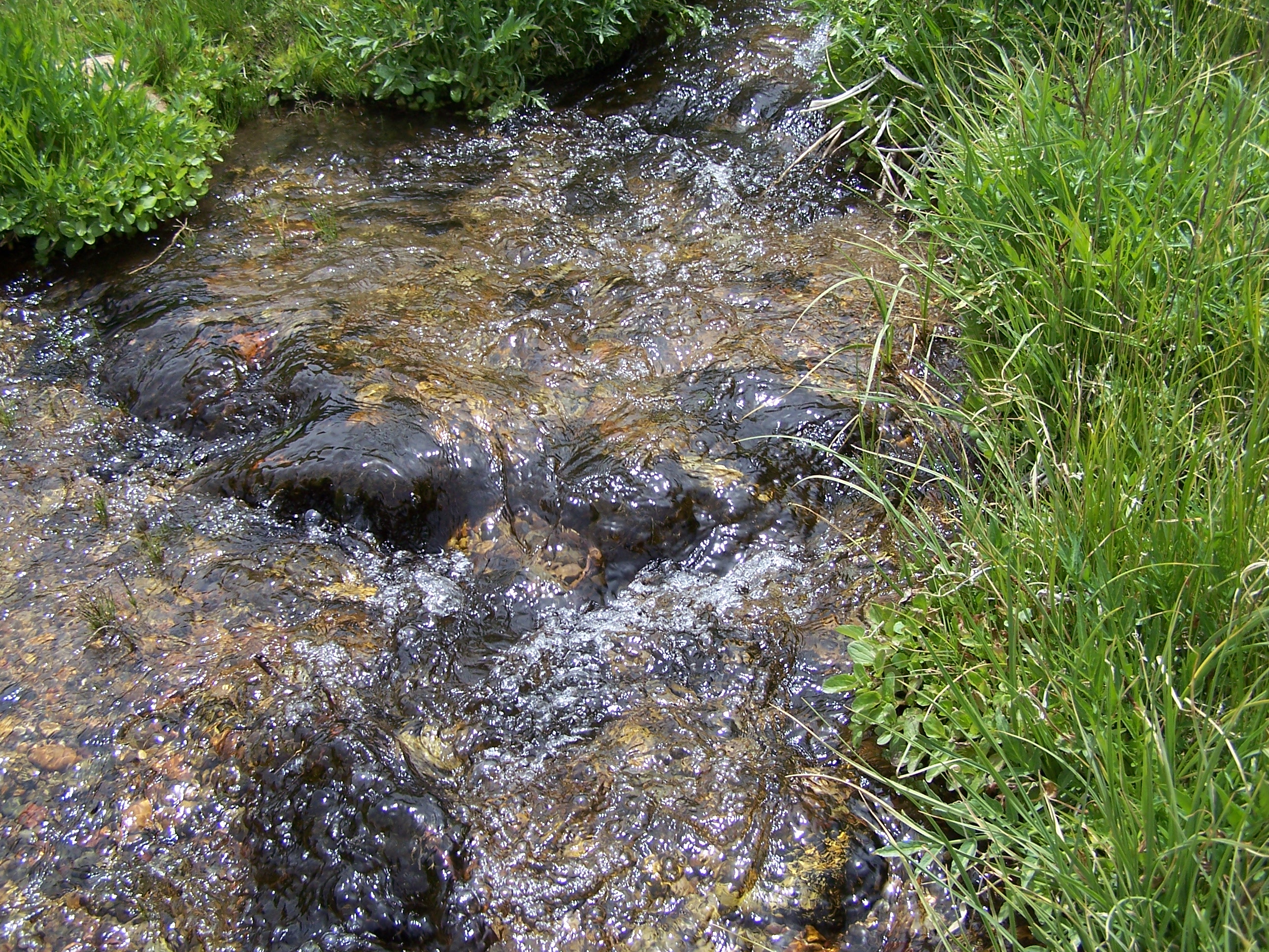 Stream.JPG