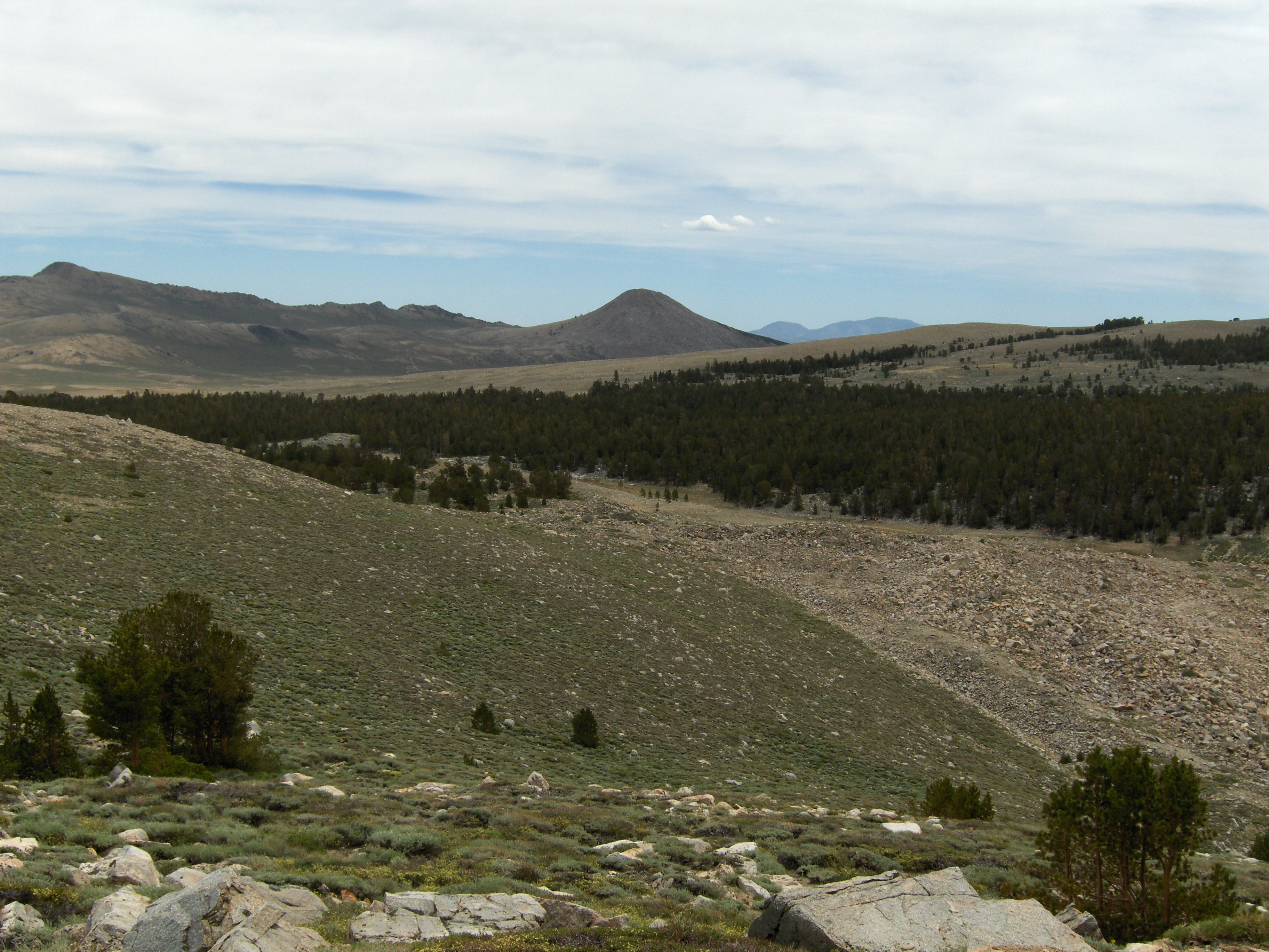 11K Feet.JPG