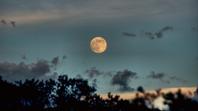 Moonrise over campsite.  Longer exposure, raising the ISO to 800 (handheld) so that the moon did not blur and the EXP stood down to -2.0 so the moon does not get overexposed.