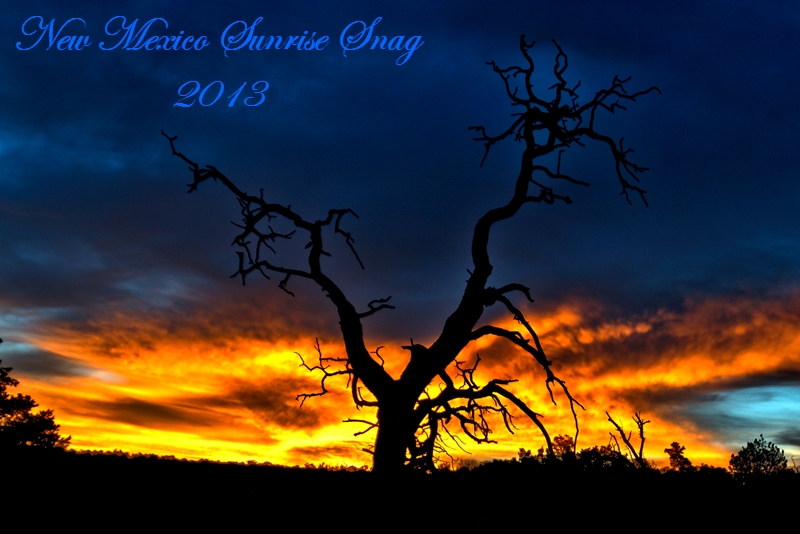 Sunrise over old snag.  Multiple exposures layered together...to achieve High Dynamic Range (HDR) effect.