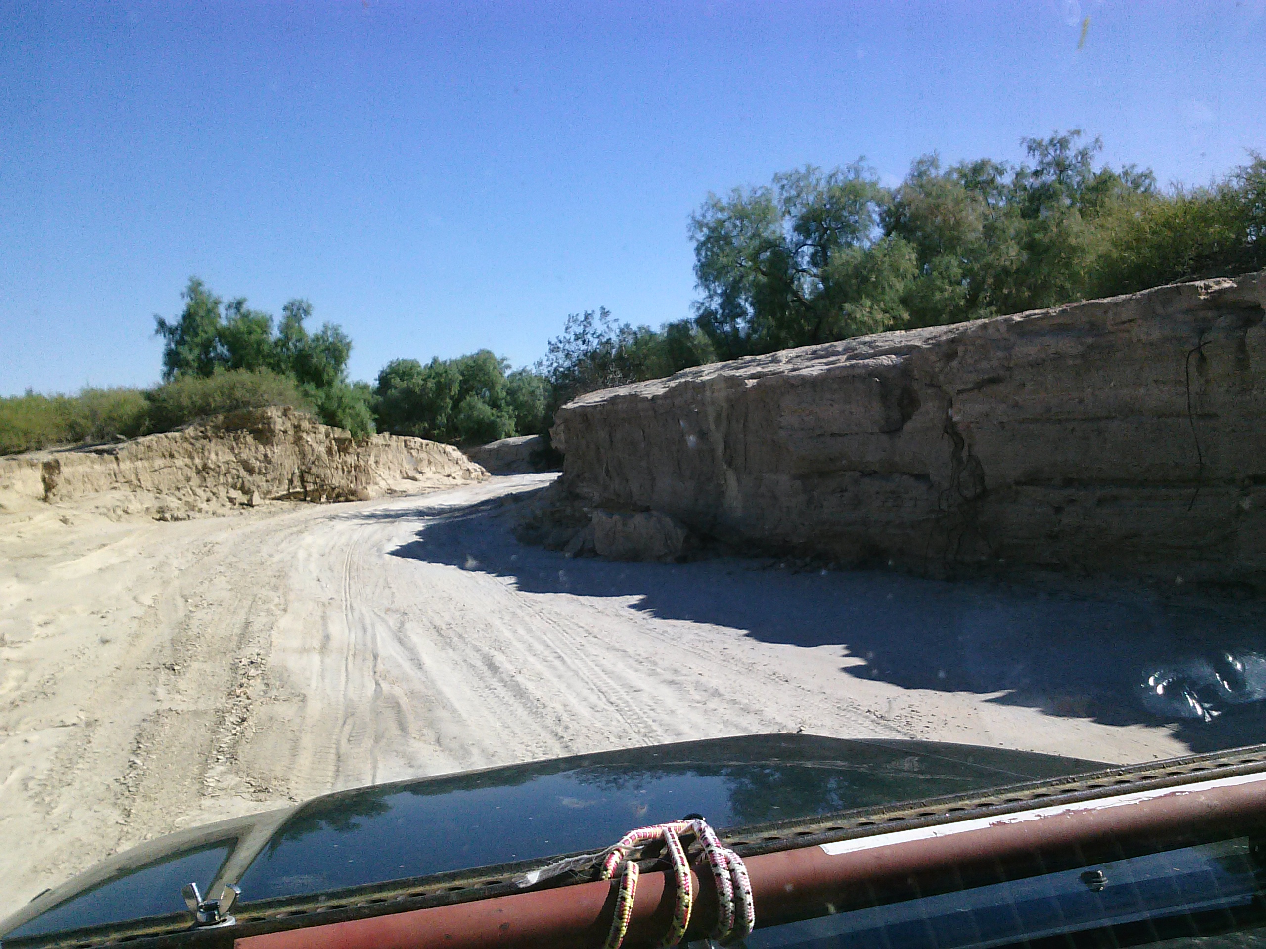 1020131439a.jpg