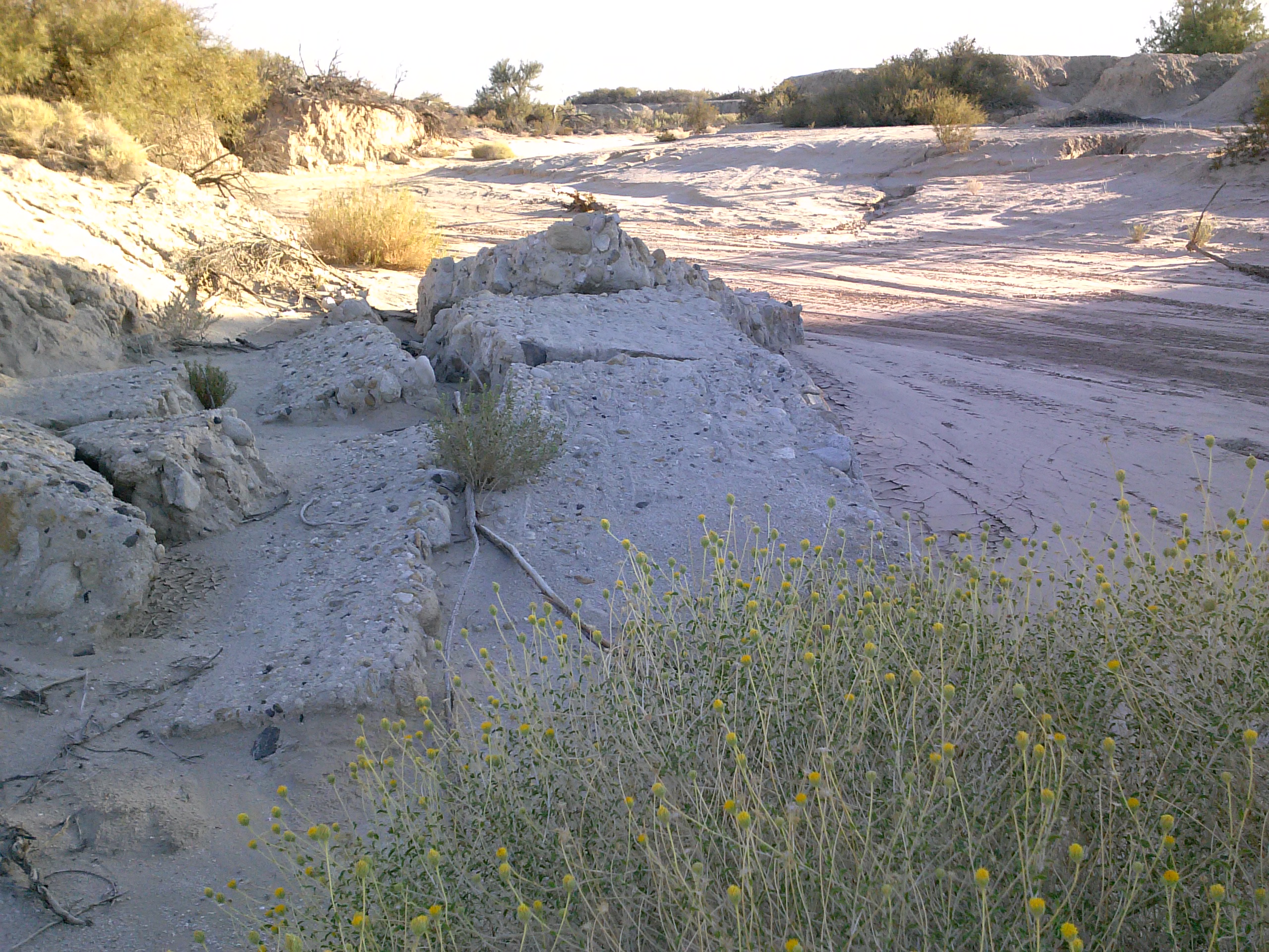 1020131651b.jpg